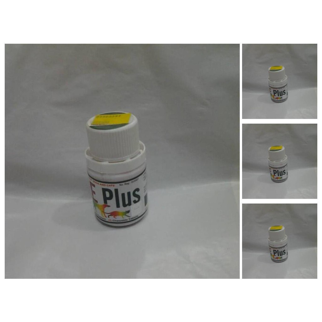 obat birahi kucing n anjing