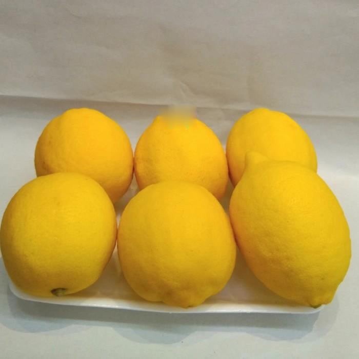 

BUAH JERUK LEMON IMPORT CINA (0,9 - 1 KG)