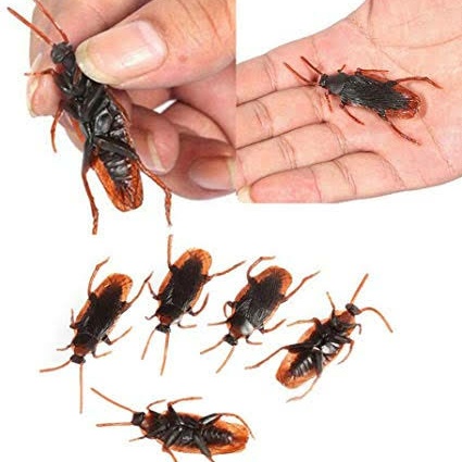 Mainan mengenal binatang bentuk kecoa fake cockroach lucu