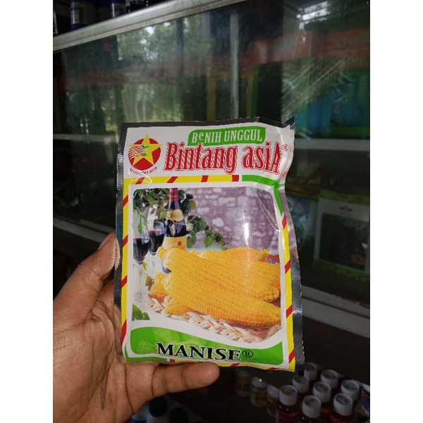 BIBIT UNGGUL JAGUNG MANISE-JAGUNG MANIS 100 gr BIBIT BERKUALITAS ANTI GAGAL-BIBIT BIBITAN ORI