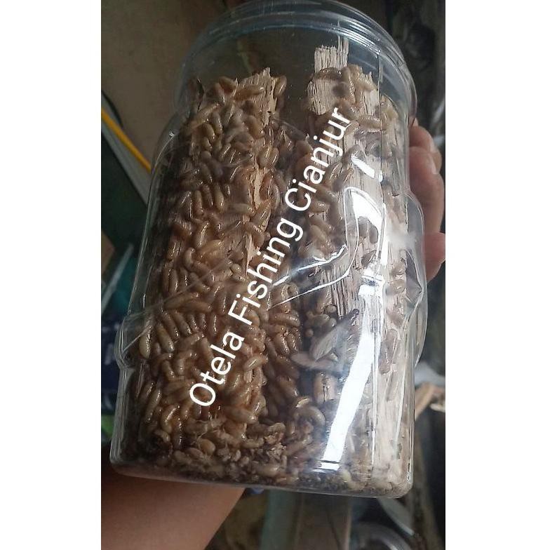 

PUA / POA (isi lebih banyak) (ART. 6877)