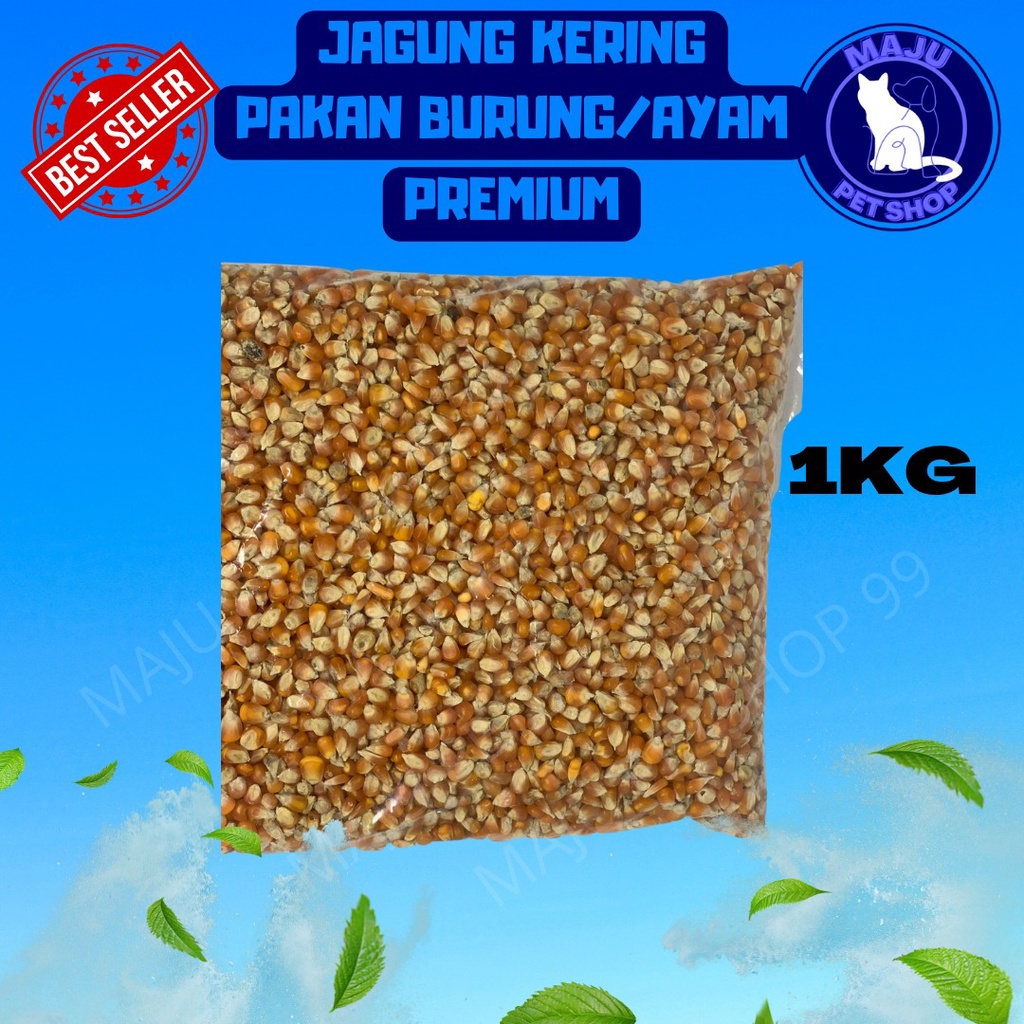 

Jagung kristal Makanan Ayam Burung Dara 1 kg