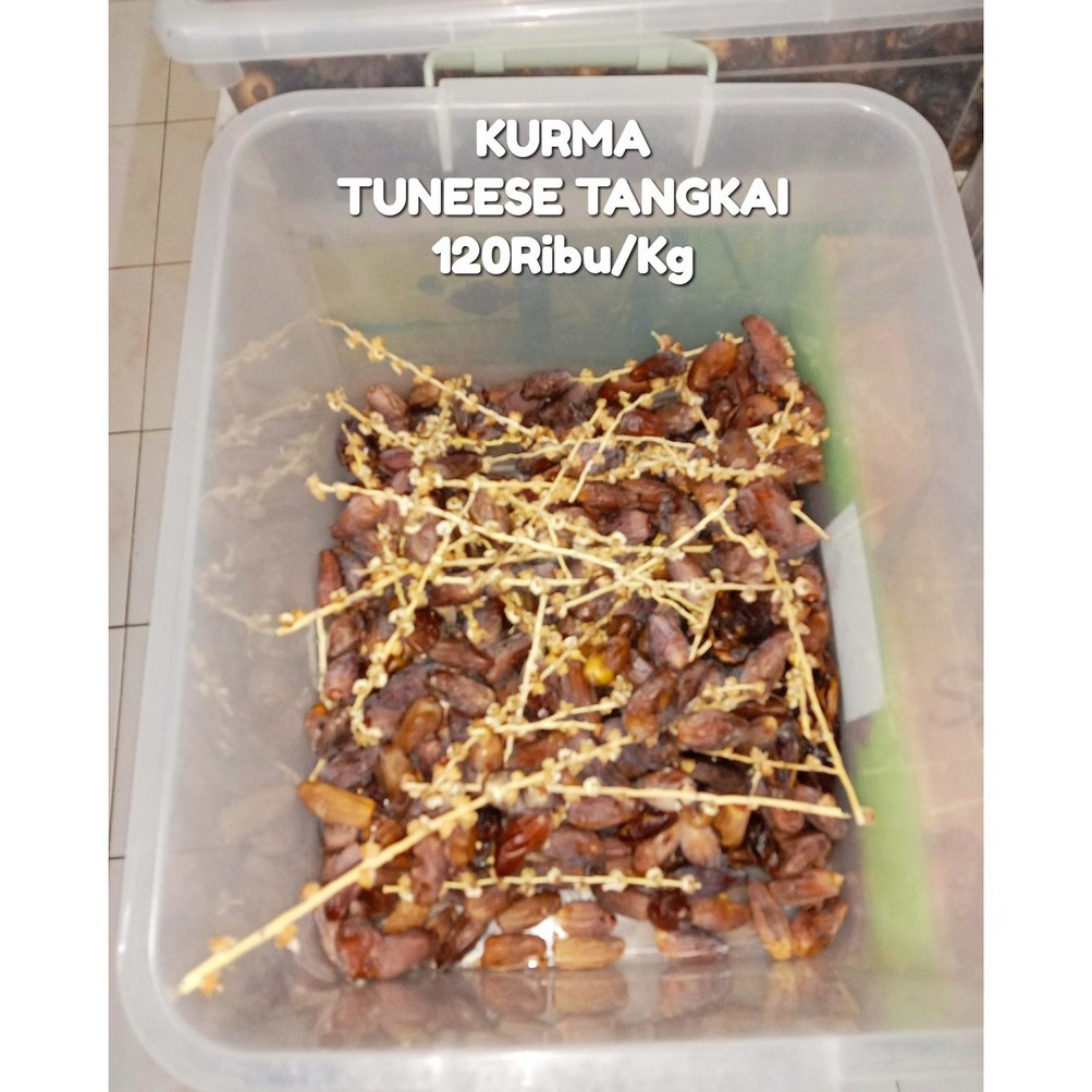 

KURMA TUNEESE TANGKAI
