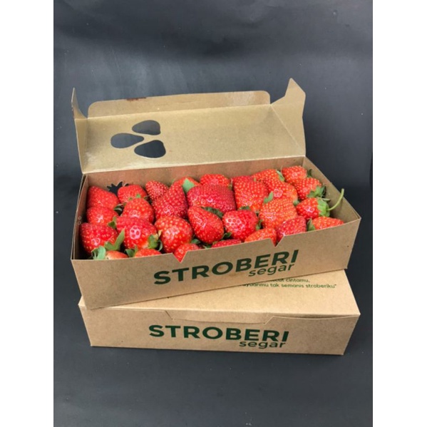 

Stroberi Segar Ala Korea