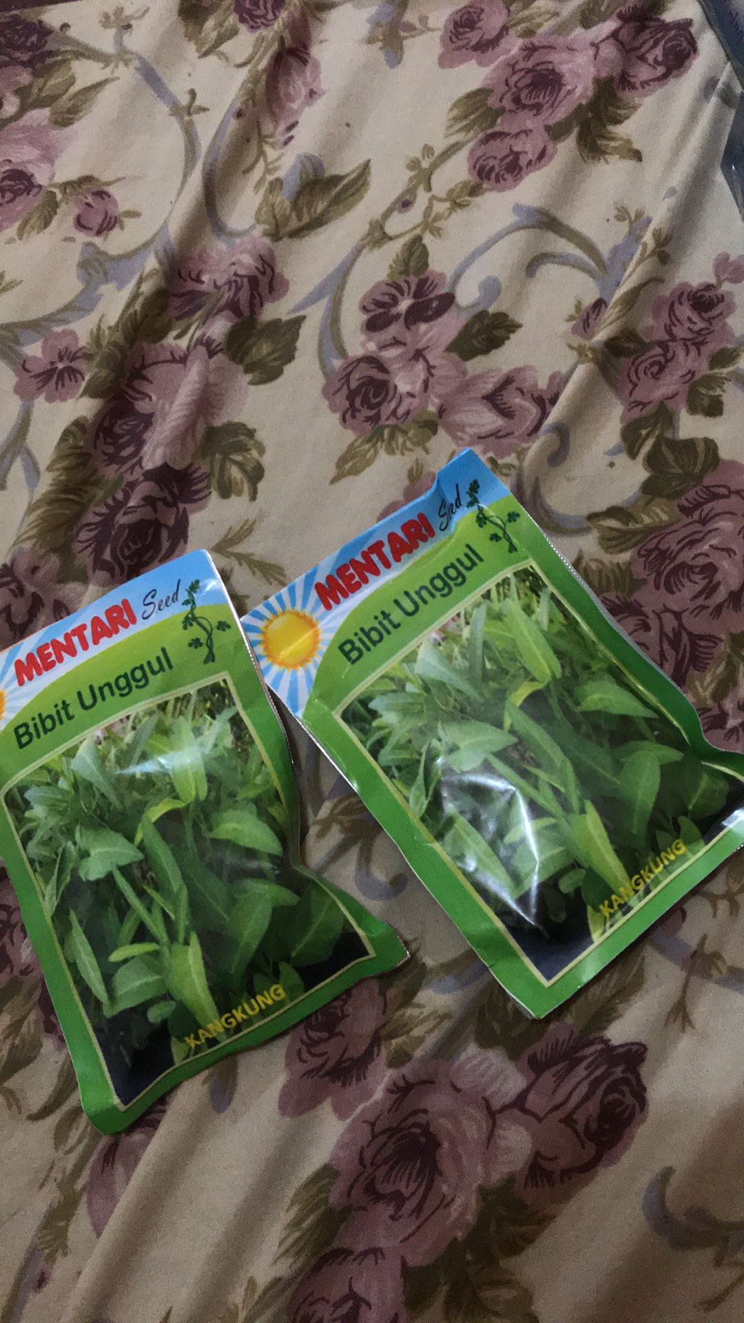 200 Biji Benih Kangkung Bangkok Cap Panah Merah