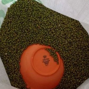 

✓Kacang Hijau 500gr
