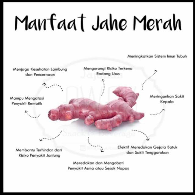 

JAHE MERAH MURNI