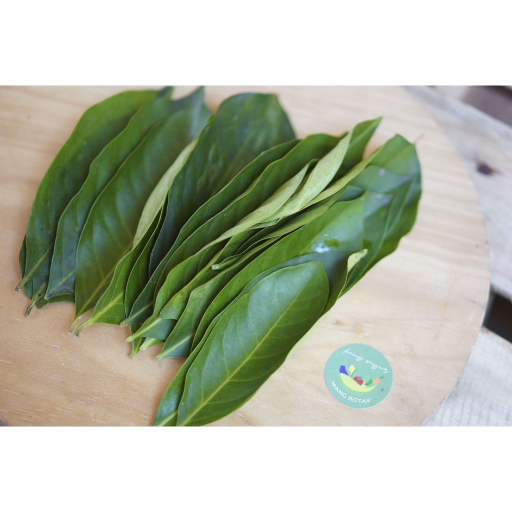 

Daun salam 1 pack (25 gr, 15-20 helai)