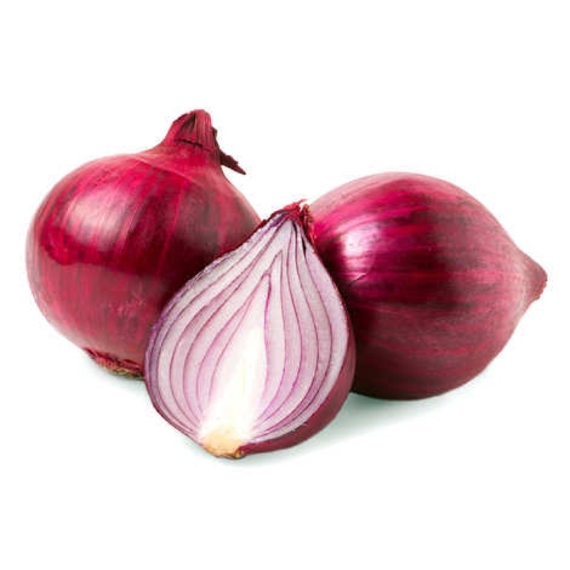 Benih Bibit Biji - Bawang Bombay Merah Red Onion Bawang Merah India Jumbo Seeds - IMPORT