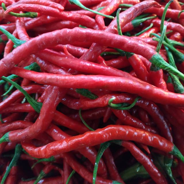

[250gr] Cabe Keriting Merah