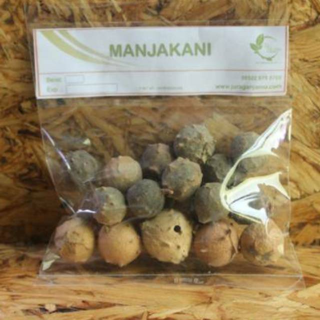 

Manjakani UTUH / buah majakani hijau kuning coklat / majaan