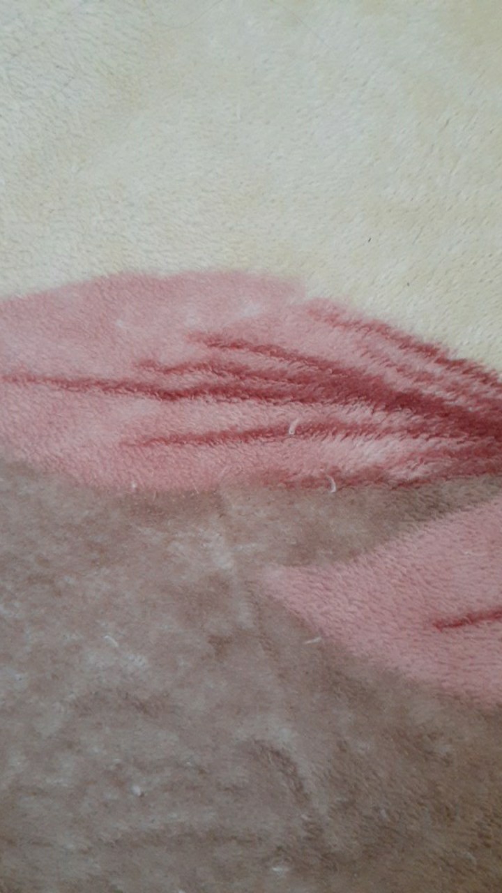 Botol Pet 250 Ml Bening Tutup Pump Putih