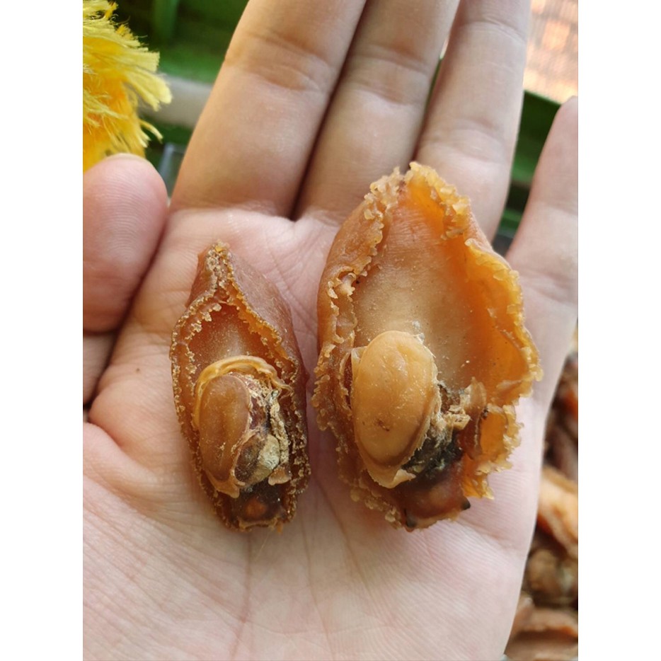 

Abalon Kering Big Size Class 1 100gr / Abalone / Bao Yu