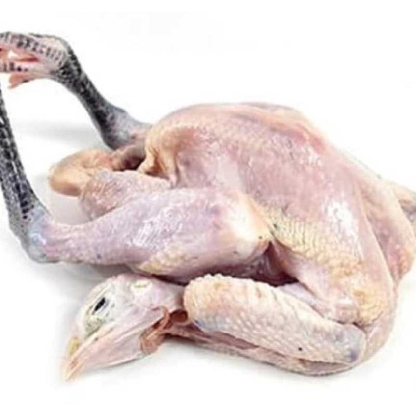 

Ayam Kampung ASLI 100% Dijamin / FROZEN/ Utuh Per ekor