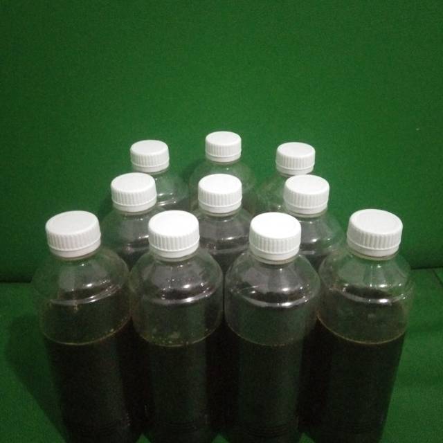 

MADU HUTAN!!KLANCENG aslii 100%