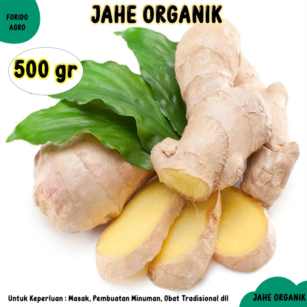 

Jahe Organik Segar 500 gr - Jahe Alami Berkualitas