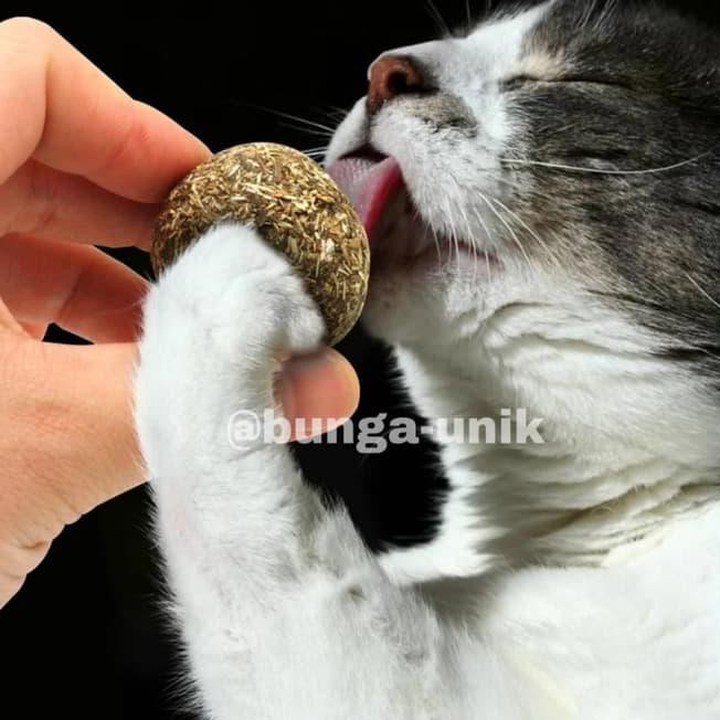 pag8 natural catnip ball menthol flavor cat treats ball toys q5ia