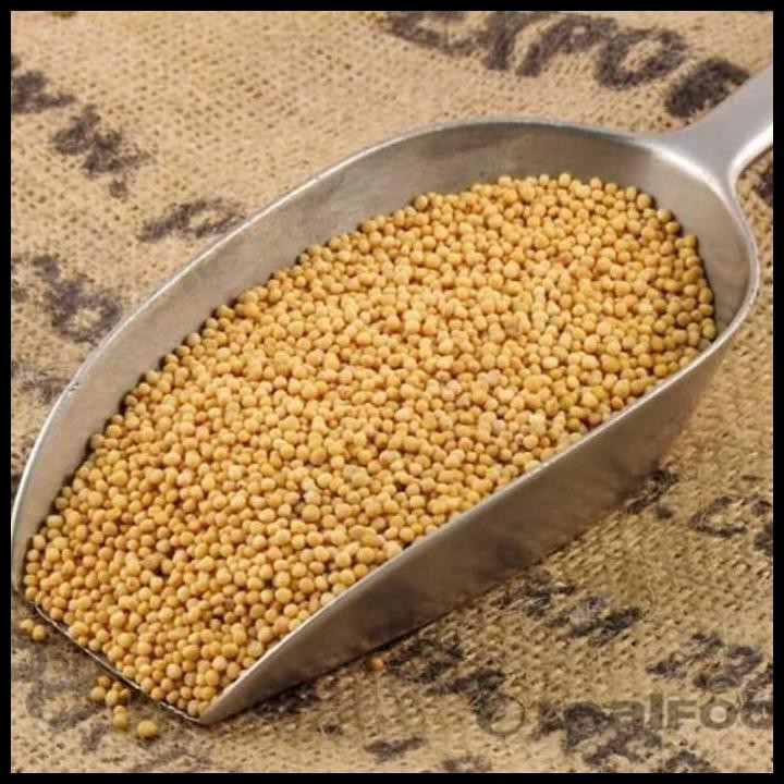 

Yellow Mustard Seed 25Gram / Biji Sawi (Mustard) Kuning 25Gram