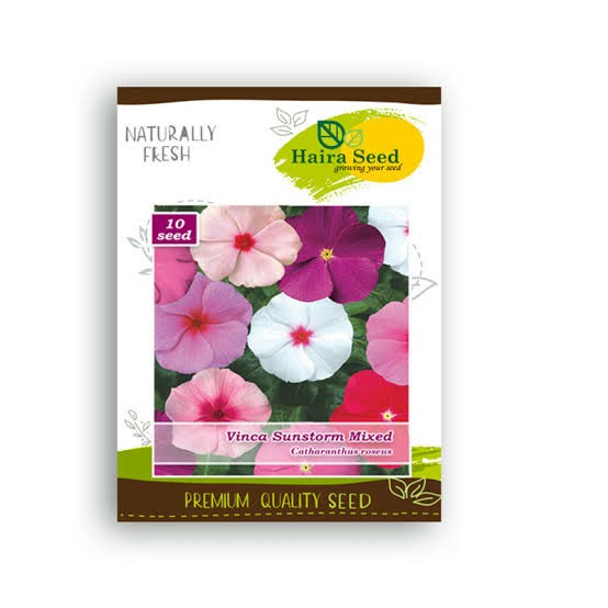 Vinca Softpink Hallo (benih/seed/biji) Tegak
