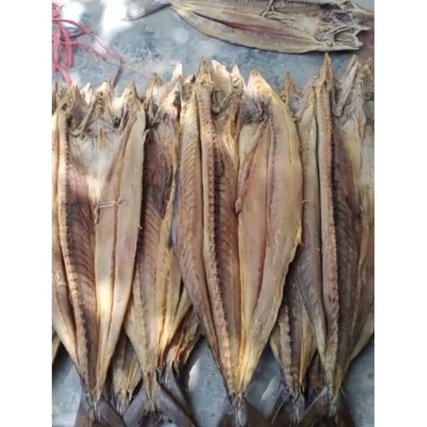 ikan kering tenggiri/telang