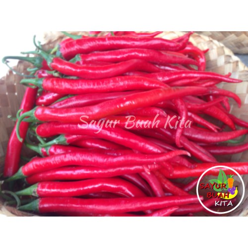 

Cabe Merah Besar / Cabai Merah Besar / Cabe TW 250 Gram