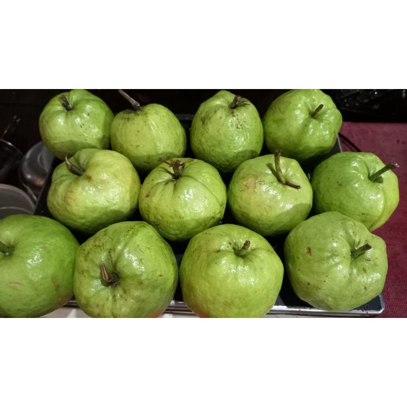 

Jambu kristal grade A kebumen isi 1 kg selain manis renyah juga loh