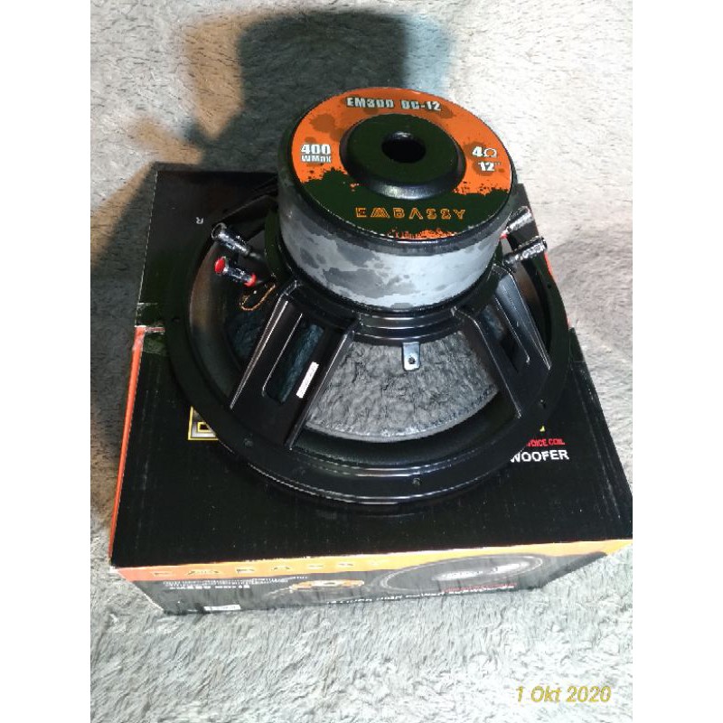 SUBWOOFER EMBASSY EM300