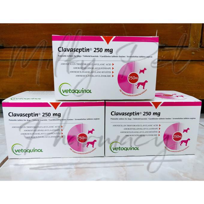 Clavaseptin 250mg 1 Strip 10 Tablets Shopee Indonesia