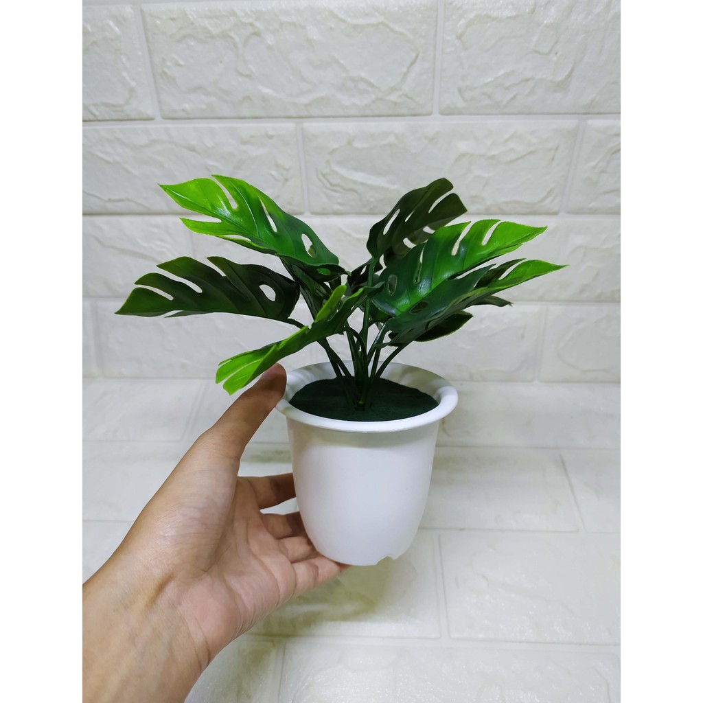 MONSTERA CUTE - Pajangan Imitasi Dekorasi Cantik