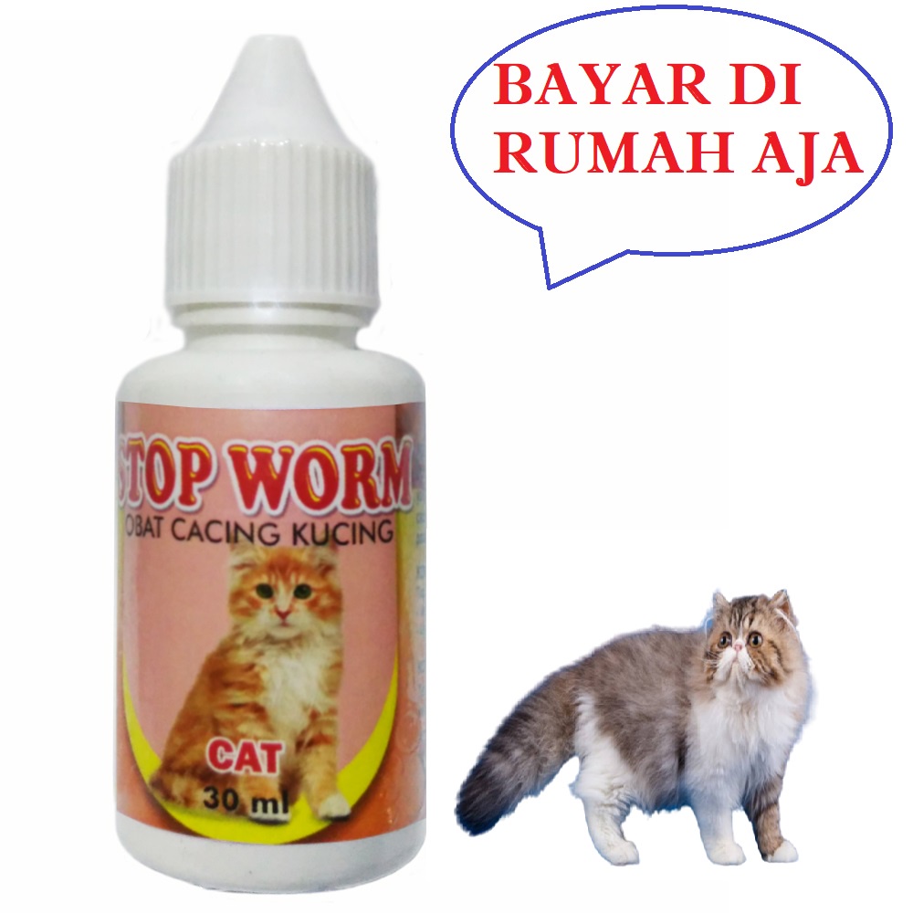 OBAT CACING KUCING CACINGAN AMPUH STOP WORM