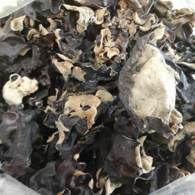 

Jamur kuping kering 100 gram