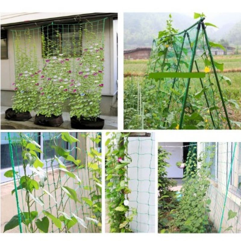 Jaring Miliopore / Jaring Rambat Tanaman Plant Climbing Net