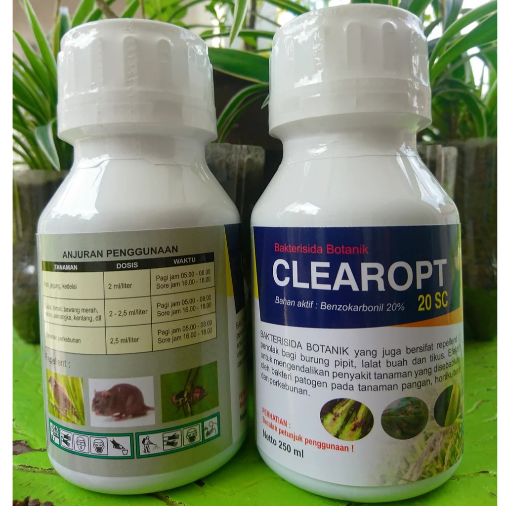Bakterisida CLEAROPT 20SC 250ml BENZOKARBONIL