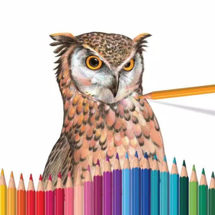 

[KODE LWMBH] pensil warna classic colour 48 faber castell