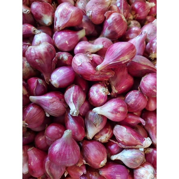 BAWANG BREBES UKURAN SEDANG 1KG