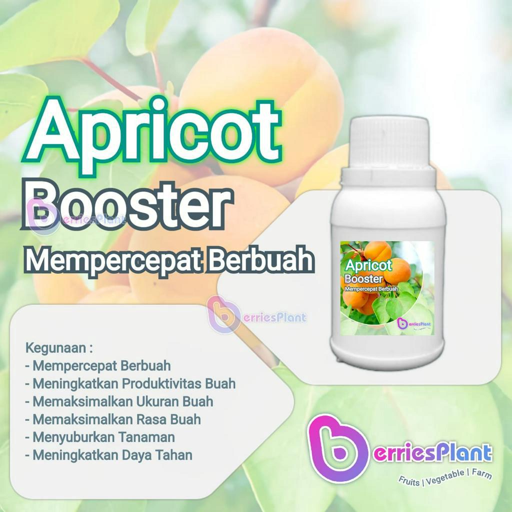 Booster Aprikot SUPER | Mempercepat Berbuah | Perangsang Bunga  |  Perangsang Buah | Cepat Berbuah |