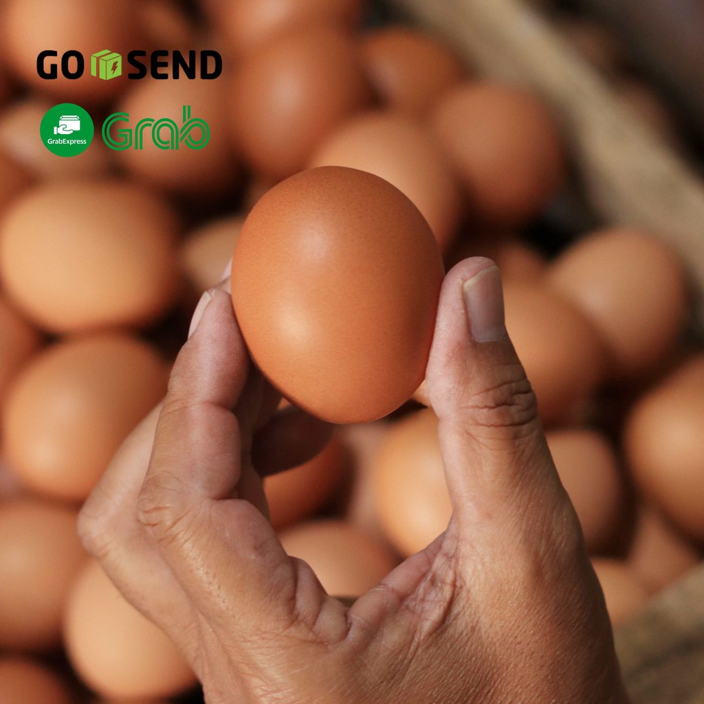 

Telur / Telor Ayam | Satuan | Supplier / Distributor Telur Bandung