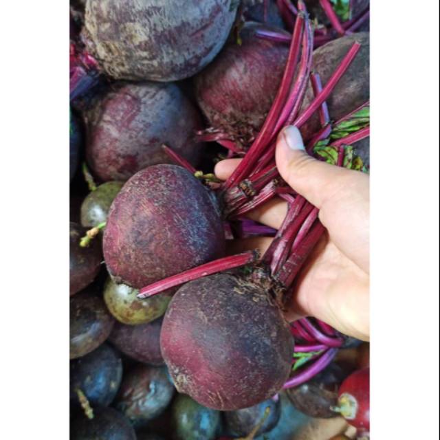 

Buah Bit Super 1 kg