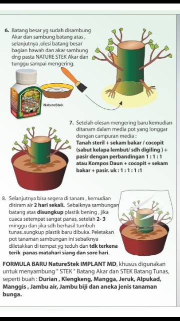 Nature stek sambung akar / implant akar