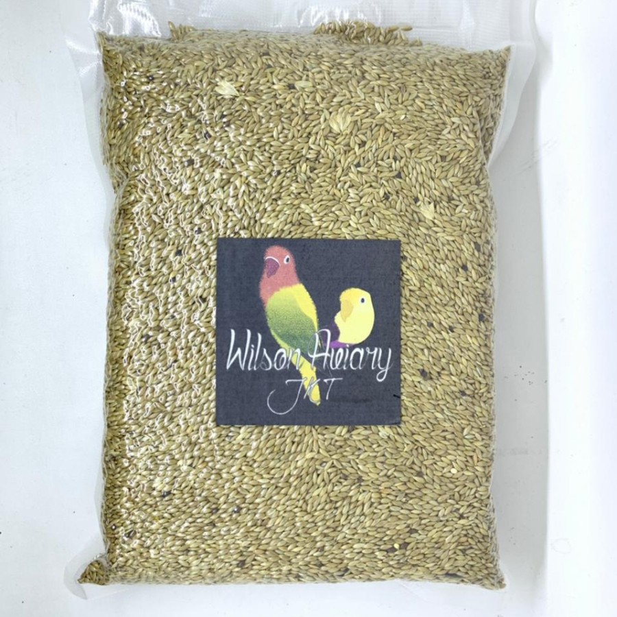 Canary Seed Bersih 1Kg Vacuum Packaging