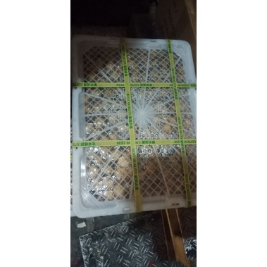 

Buah kelengkeng manis per dus