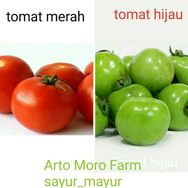 

tomat merah, BEEF dan hijau