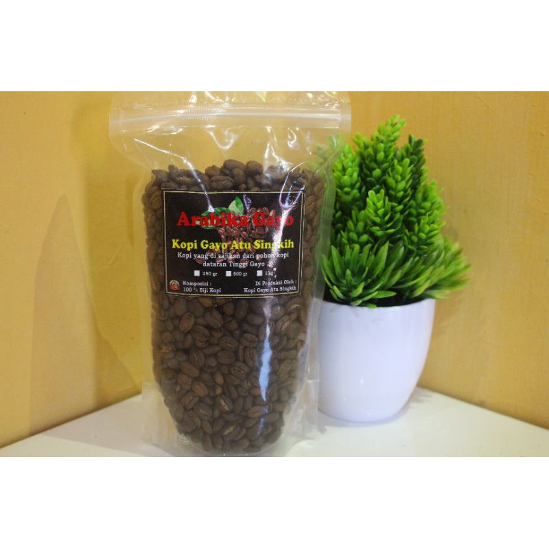 

kopi arabika gayo
