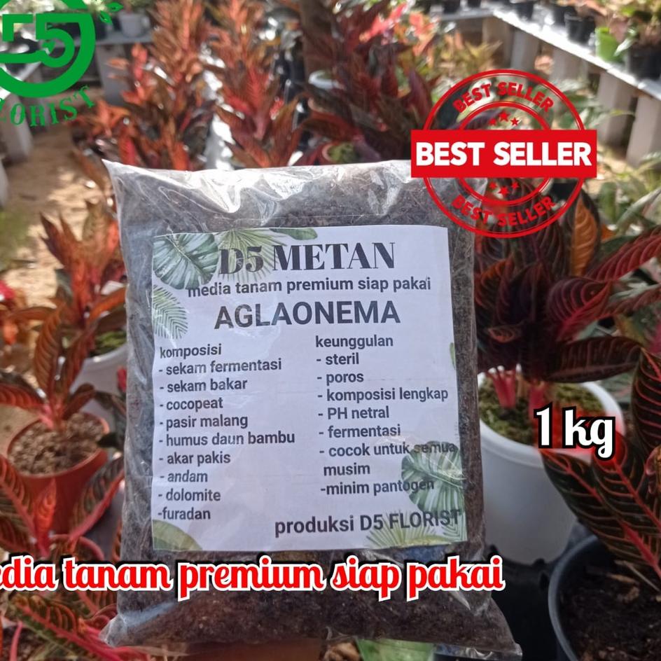 174DSS Media tanam ,media tanam aglonema ,media tanam aglonema siap pakai , media aglonema , media t