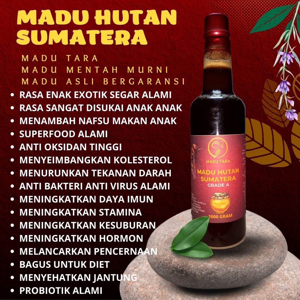 MADU HUTAN SUMATERA MADU ASLI MADU MENTAH MURNI RAW HONEY MADU TARA