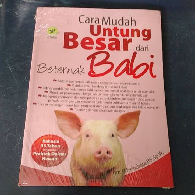 Beternak babi
