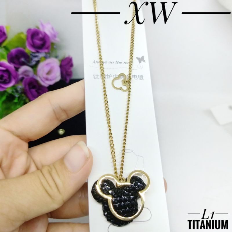 Kalung Titanium 60cm XW025