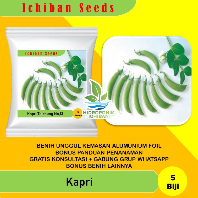 Benih Bibit Biji Kapri Taichung No 13 Known You Seed