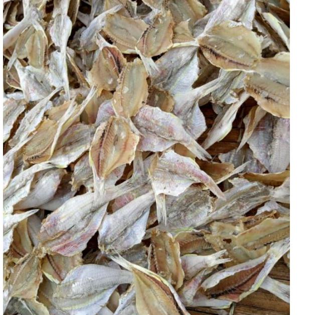 

COOL SALE Ikan asin Kuniran belah/biji nangka-1kg KHR