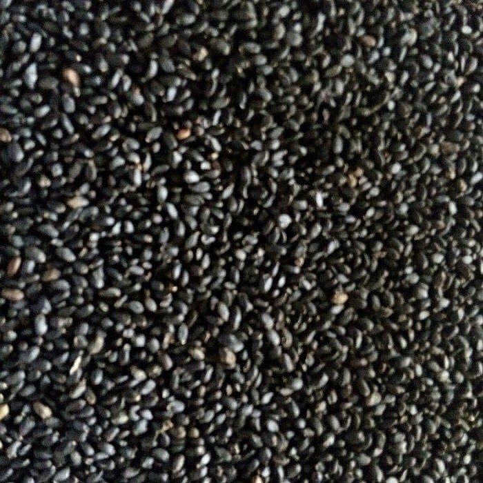 

paling laris biji selasih